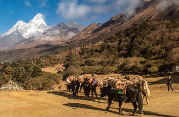 Unforgettable Trekking in the Everest Region