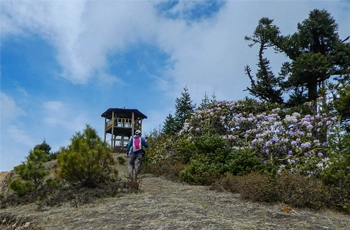 AMAZING JUMLA RARA LAKE TREK 2024 REVIEW
